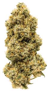 Animal Face (Faceoff OG x Animal Mints)