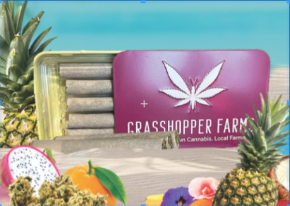 Grasshopper Farms | Resin Infused Hell Cat Infused Pre-Roll