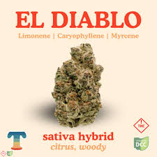 El Diablo | H