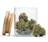 Gas Berry Bulk Flower (H)