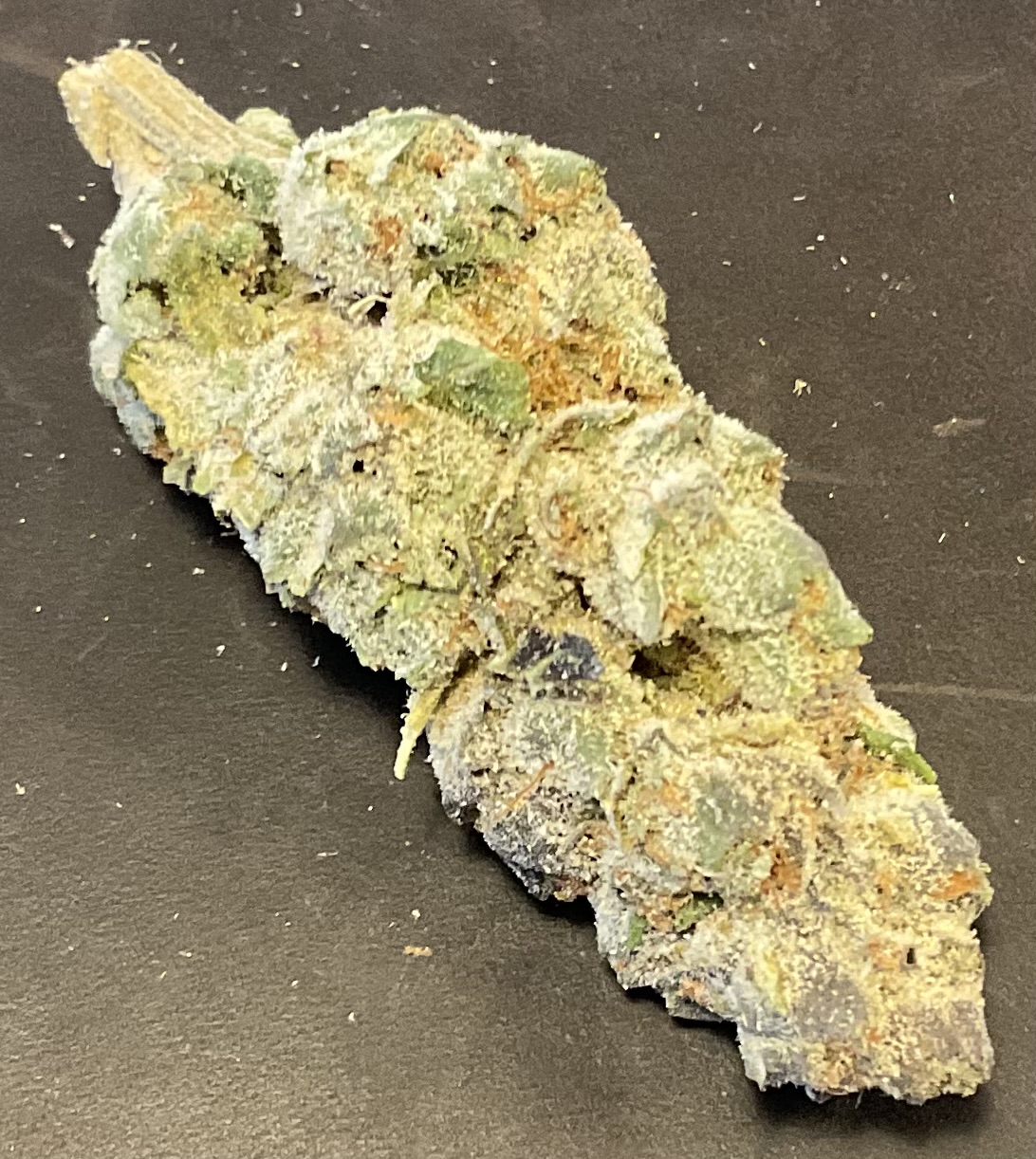 Garden First - Sherb Cream Pop - Top Shelf Flower