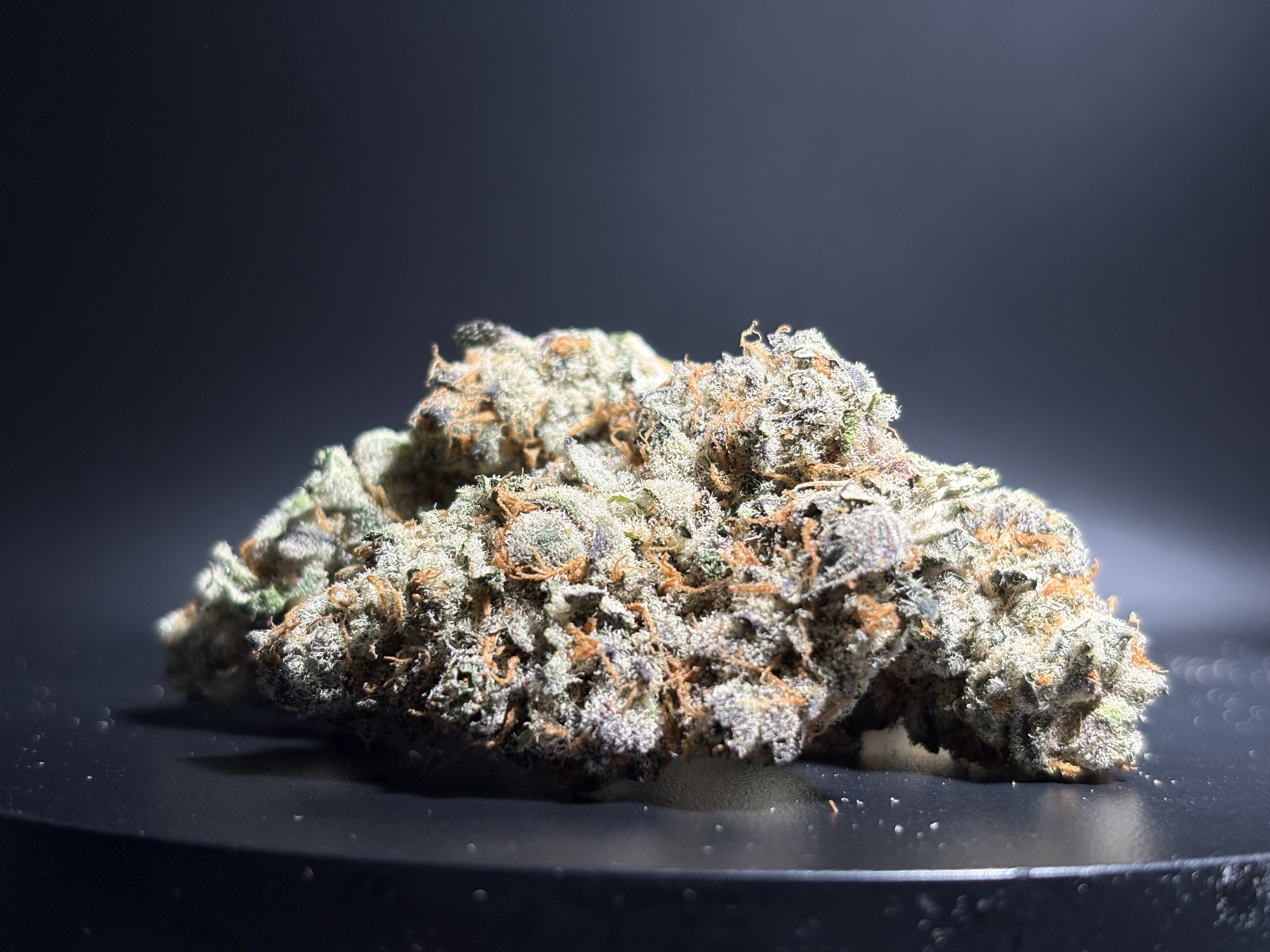 Flower - Bulk - Red Delicious #5