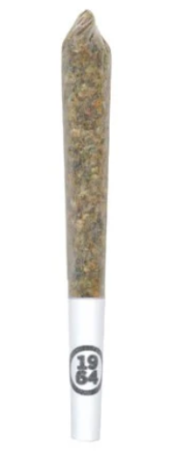 1964 | Comatose Resin Infused Pre-Roll | 1 x 0.5 g