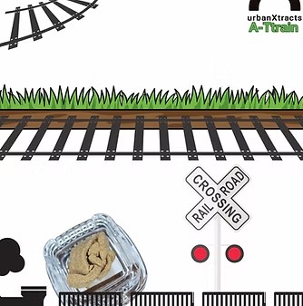 Train Solventless Dad Hash