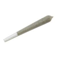 Chicken N' Waffles Preroll