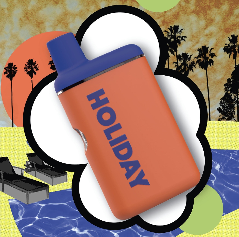 Holiday | Leisure | Disposable Vape 1g