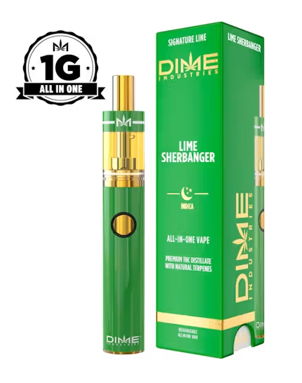 Dime Industries | Lime Sherbanger All In One | 1g
