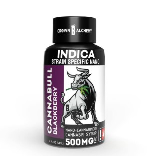 Nano Syrup | Blackberry | 500mg