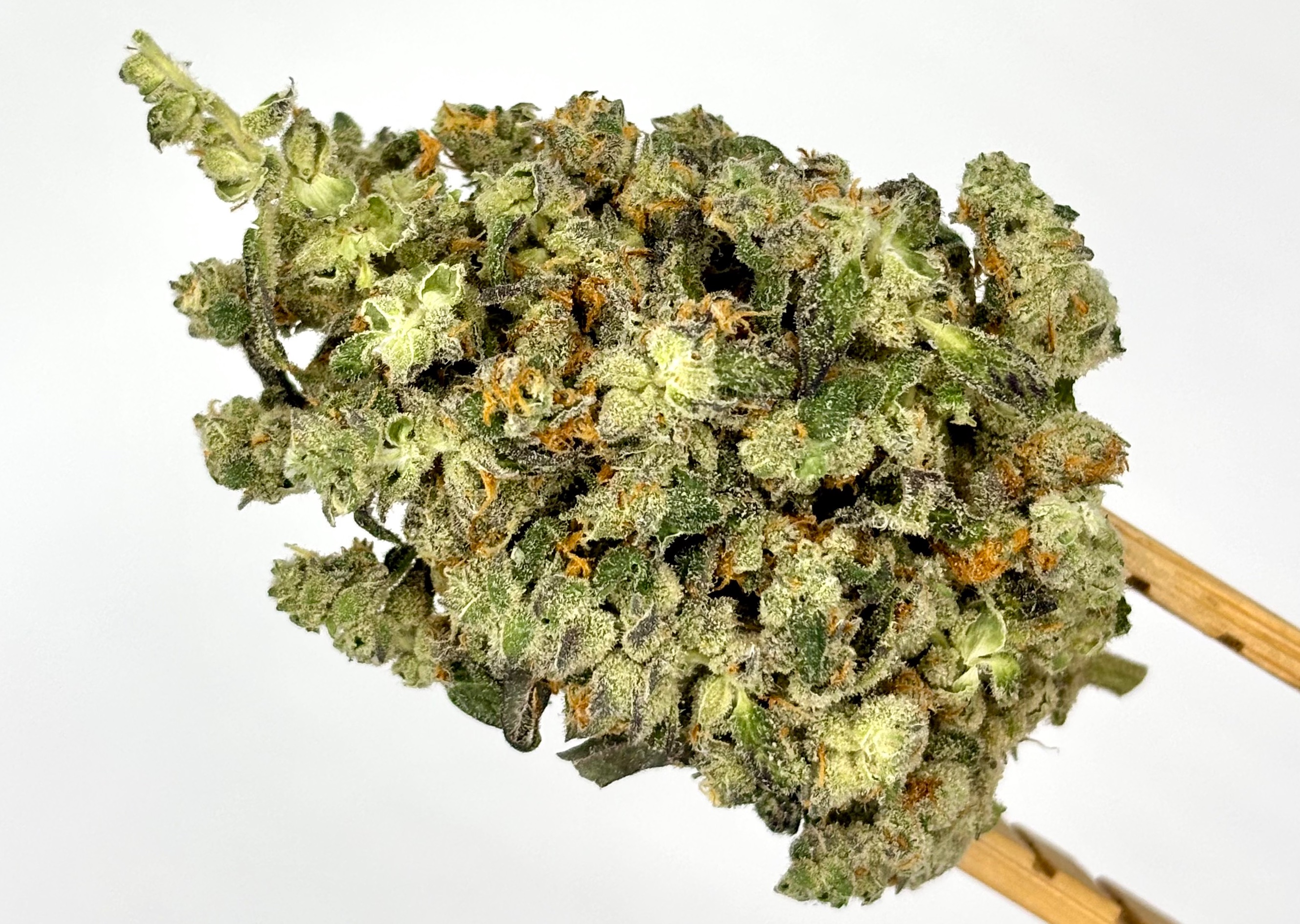 Insano Pharms | Cap Junkie | Bulk Flower | Purple Tier