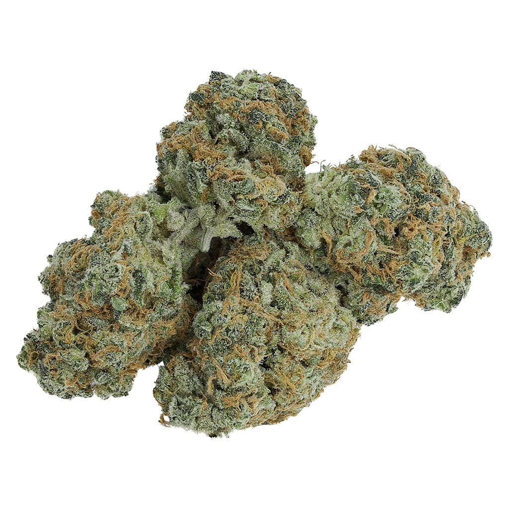 Electric Lettuce - Charged Sativa - 2.1% TERPS!! - 14g - Sativa