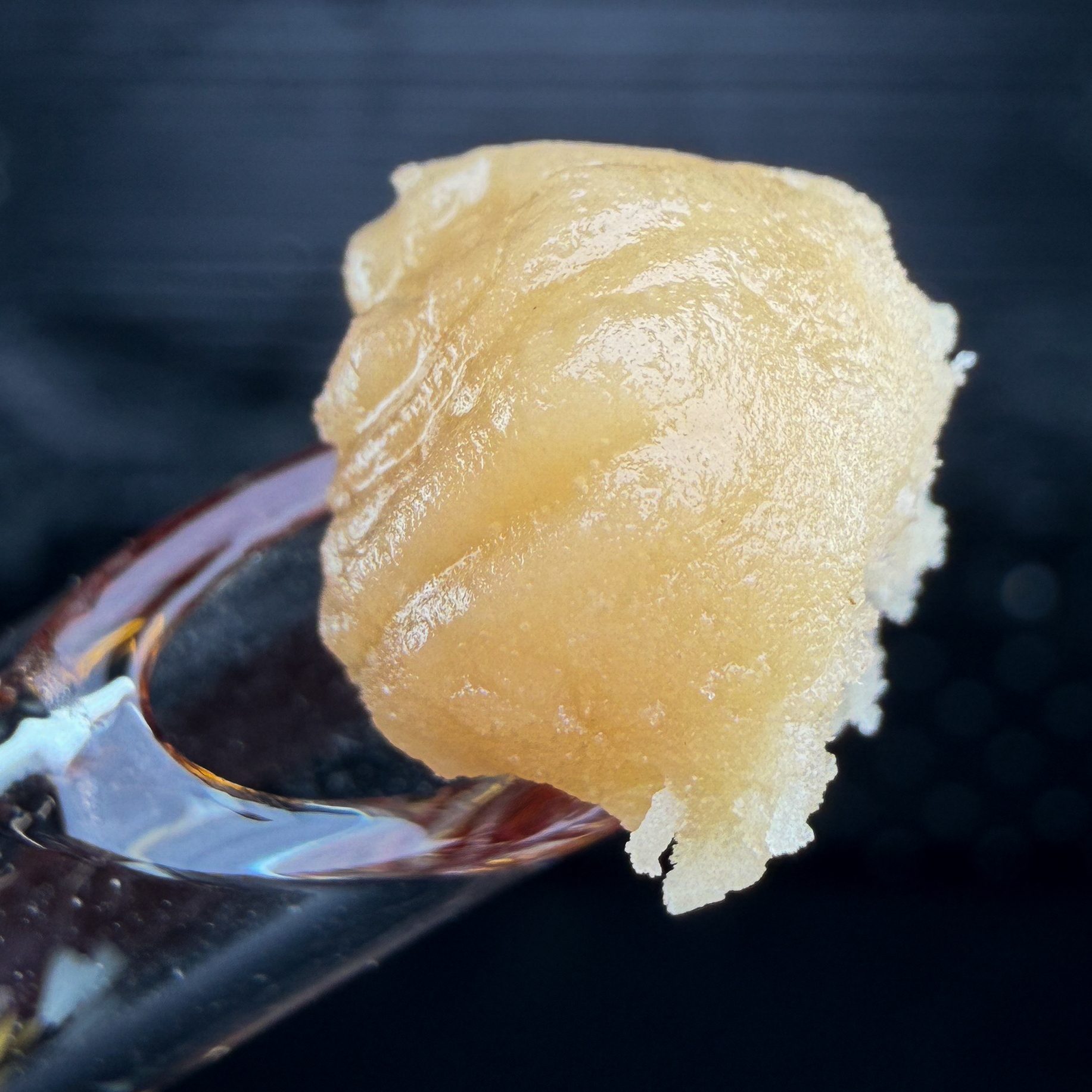 Live Rosin | Dulce de Papaya #12