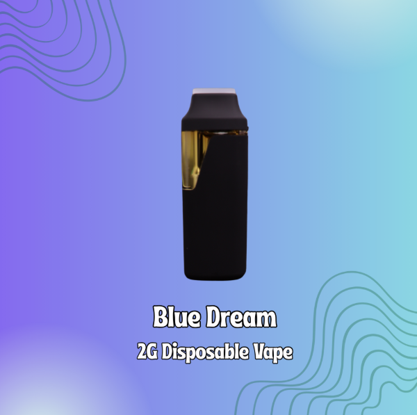 Shnicks Shnacks - Blue Dream - 2G Disposable Vape