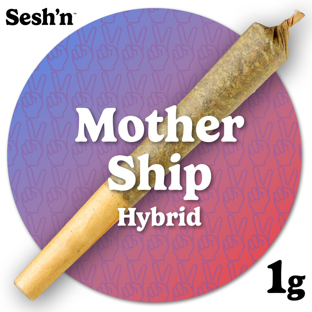 INSA | Sessions Pre-Roll | Mother Ship