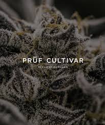 Pruf Cultivar Banana Fudge Pop B Buds