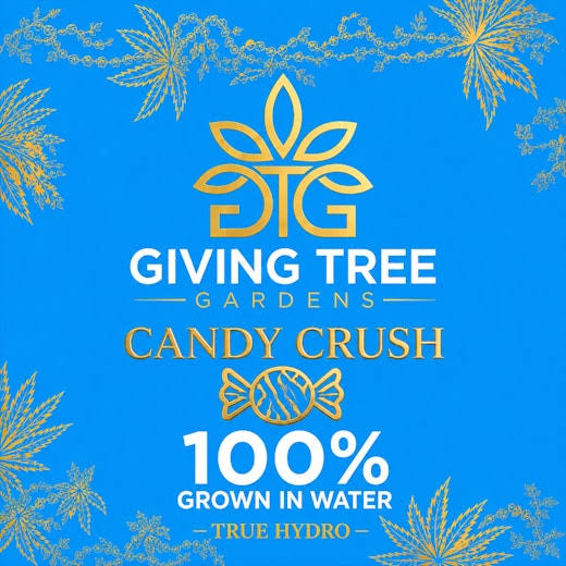 Giving Tree Gardens Candy Crush Pre-Roll 1g