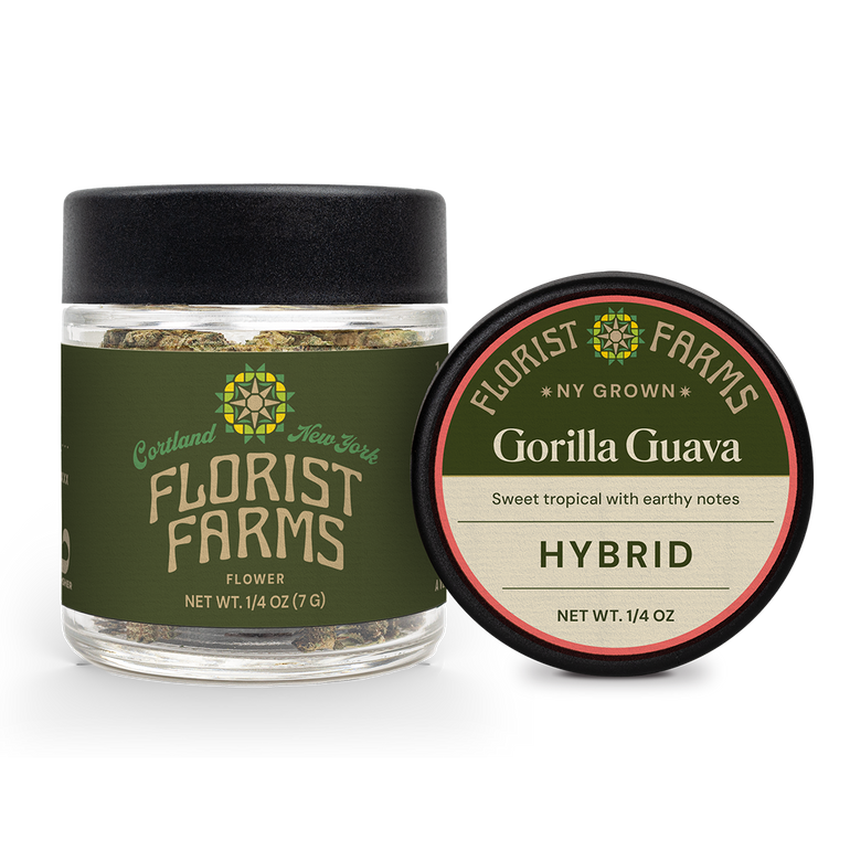 Flower | Gorilla Guava (H) Florist Farms