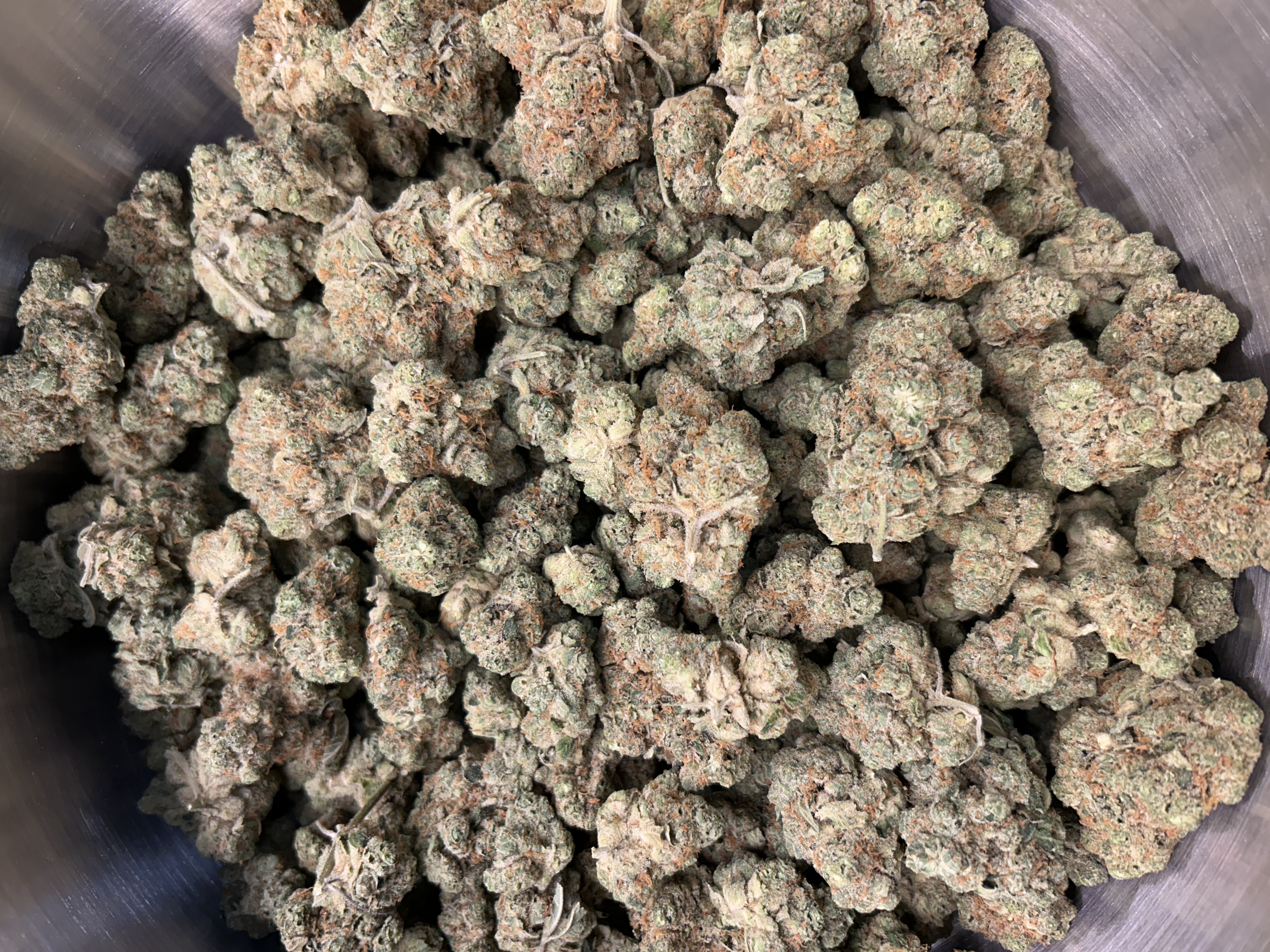Berkshire Roots | Marsh-Mellow | Buds | 1.9%+ Terps (2g) product photo
