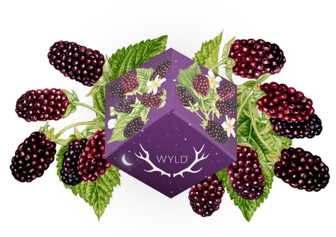 Boysenberry Gummies 10-Pack | 100mg