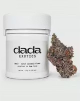 Exotics | Flower | Indica-Hybrid | Custard Cream