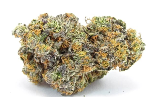 Deli Gardens Dosilato #8