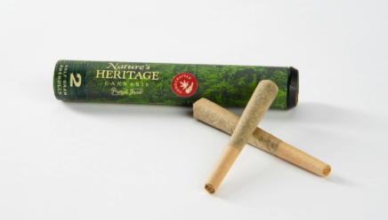 Orange Chemeleon Pre-roll .5g 2pk ( H ) | 1g