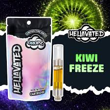 Kiwi Freeze - Cartridge - 1g
