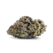 Redbud Roots Crunch Berries Flower