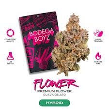 Bodega Boyz | Flower | Guava Gelato