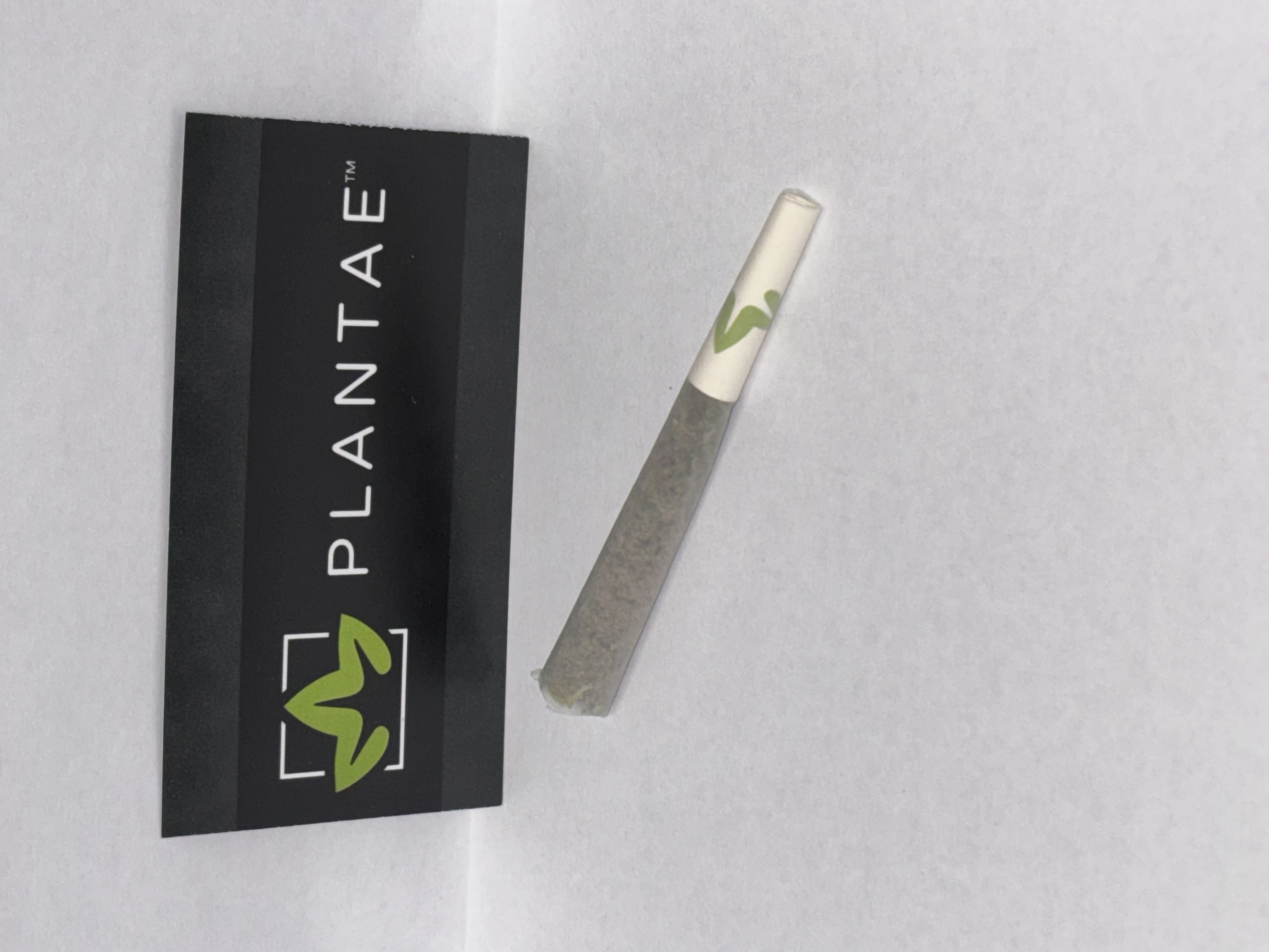 Hash Burger Pre-Rolls | AVF *