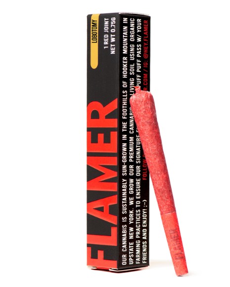 Flamer Lobotomy Preroll