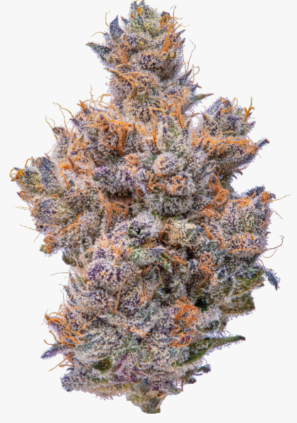 Bananaconda | 3.5g