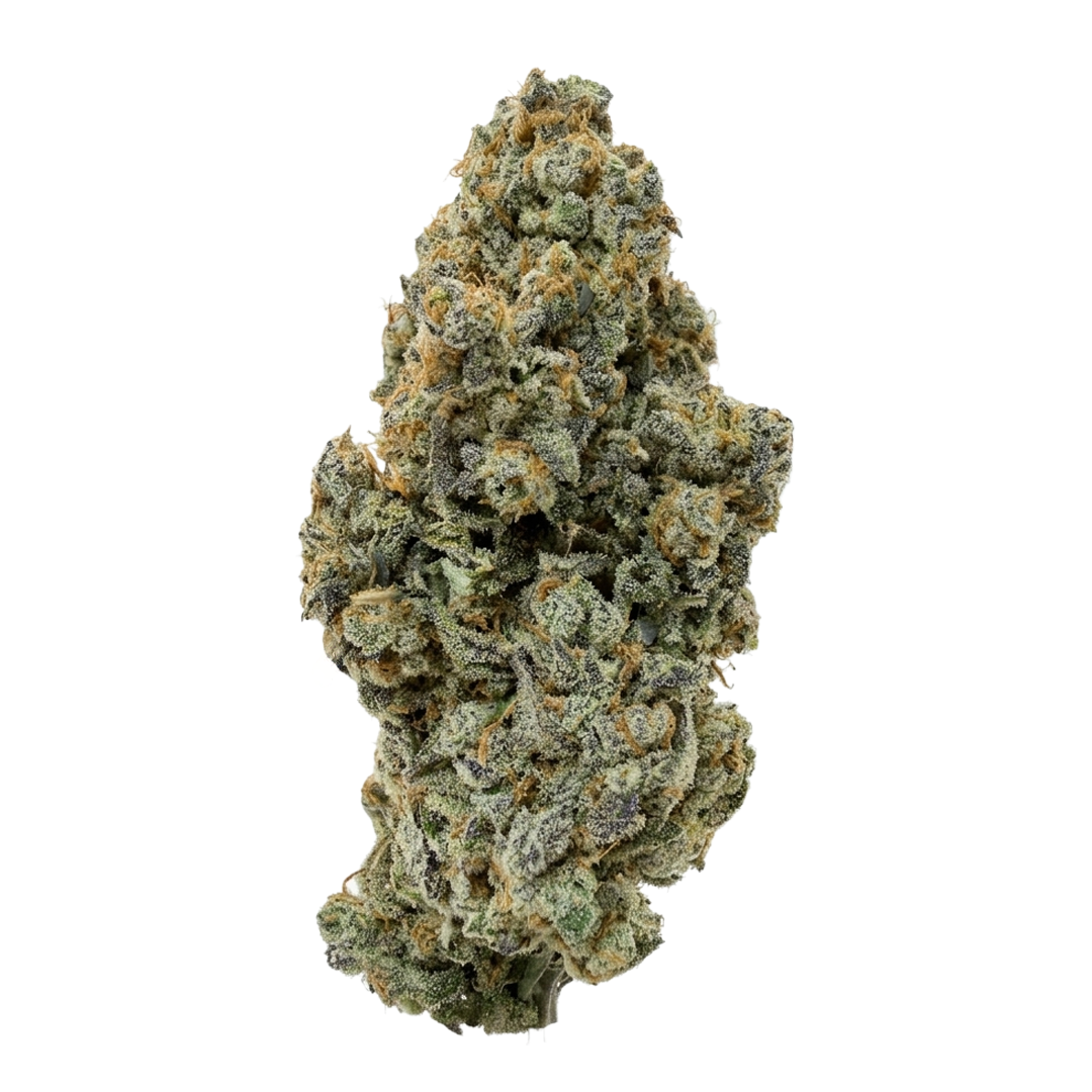 First Fire | Hypnotic Flower [F-49-50]