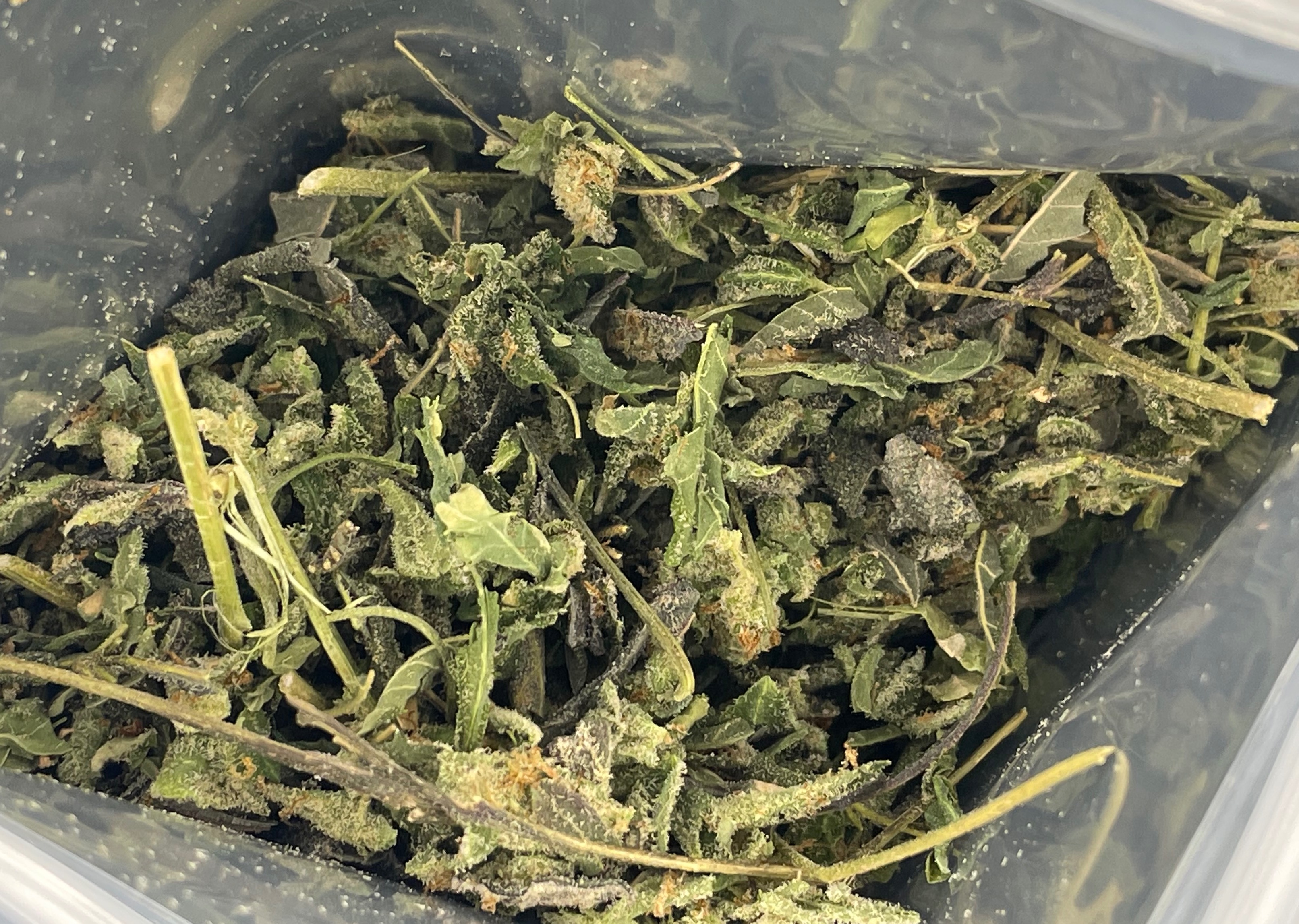 Lemon G Breath Shake