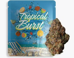 Tropical Burst