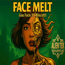 Face Melt Pre Flower