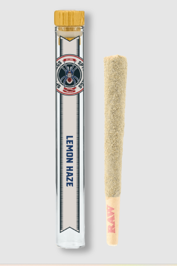 Lemon Haze 1.25g Infused Preroll