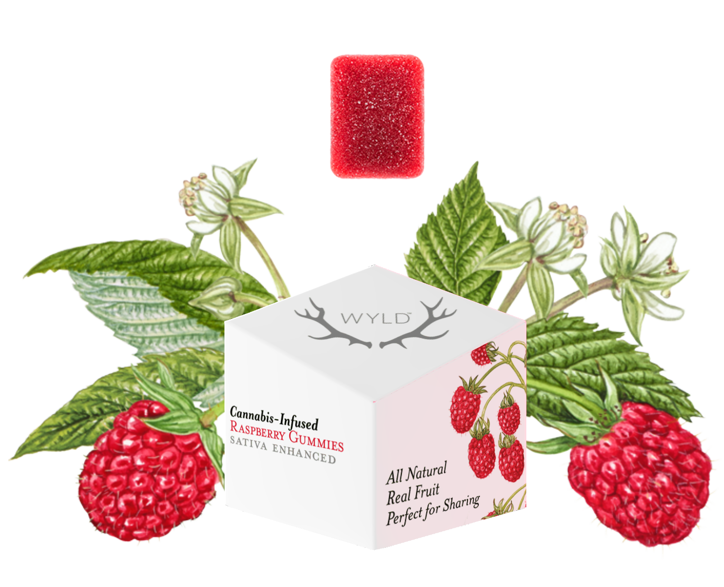 Wyld: 100mg Raspberry Gummies - 40g