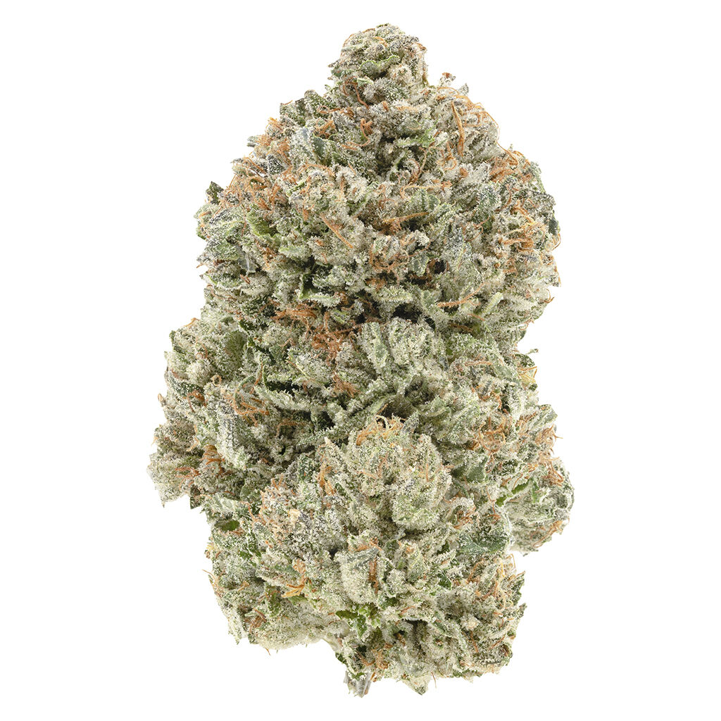 1964 - Stinky Pinky (Pink Kush Pheno) - Indica - 7g - 3.4% Terps!!!