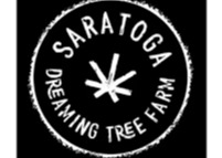 Dreaming Tree Farm | GMO Pie | Live Rosin