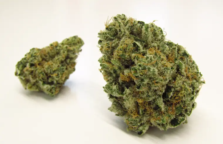 MARYLAND HERB CO. A5 Wagyu 5g