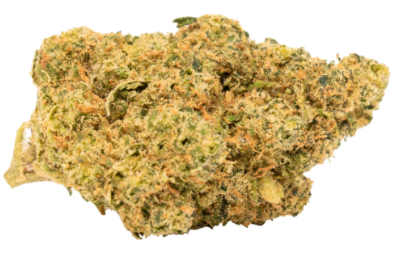 Tropical Gelato Slushie | 14G