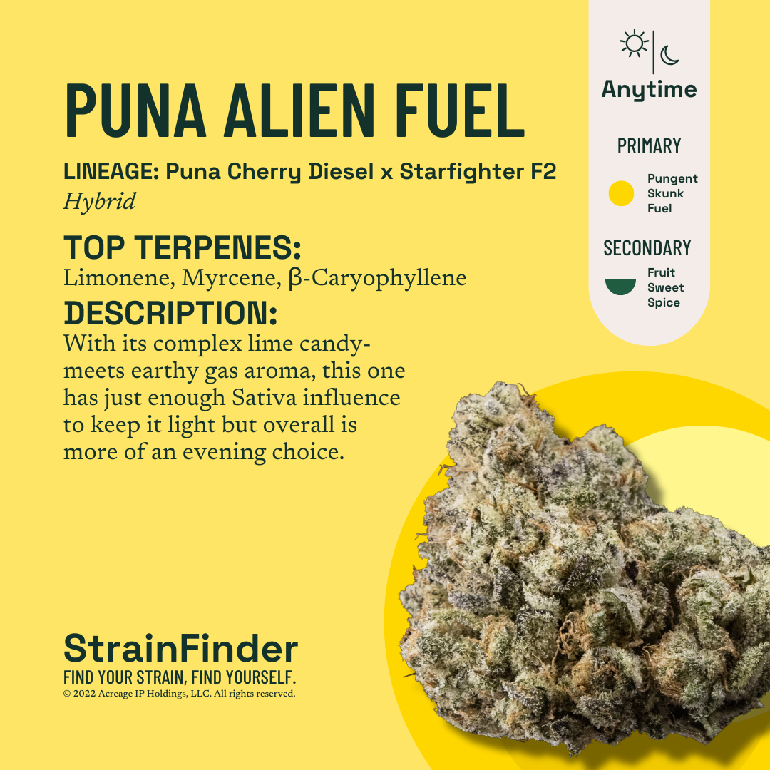 Puna Alien Fuel I  I The Botanist