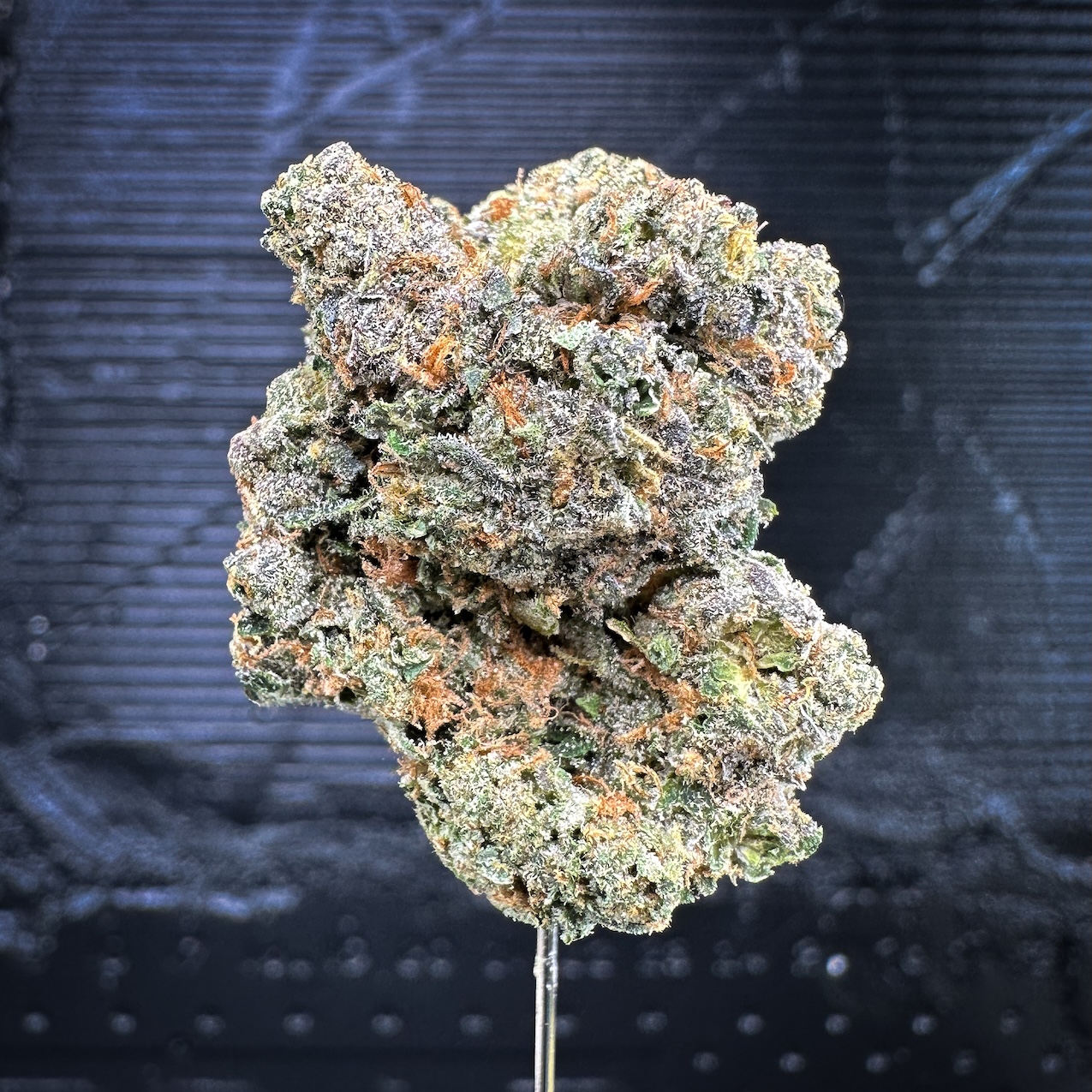 Thin Mint Cookies