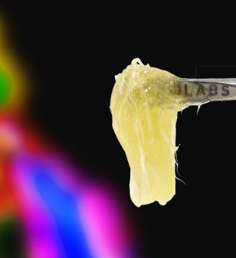 710 Labs | ZkyscraperZ #2 Persy Rosin