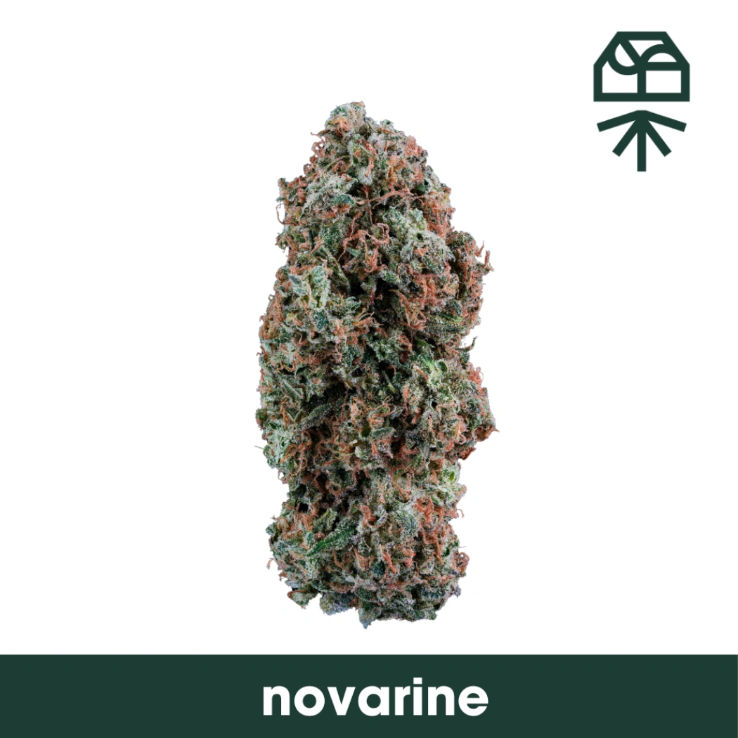 Novarine