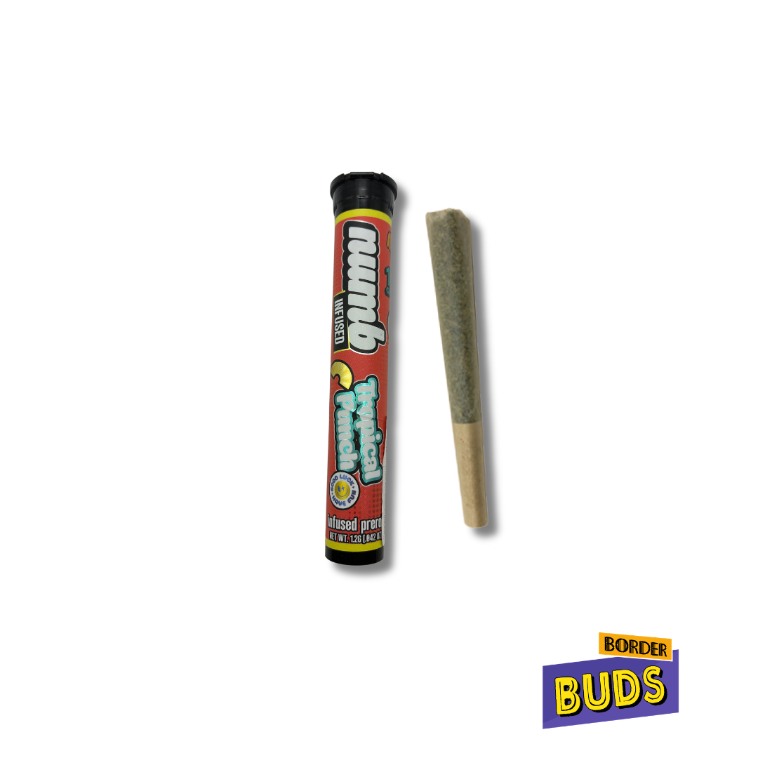 Tropical Punch | Numb | 1.2g | Infused Pre-Roll
