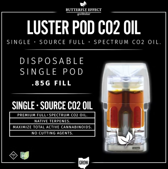 Bljk S Luster Pod