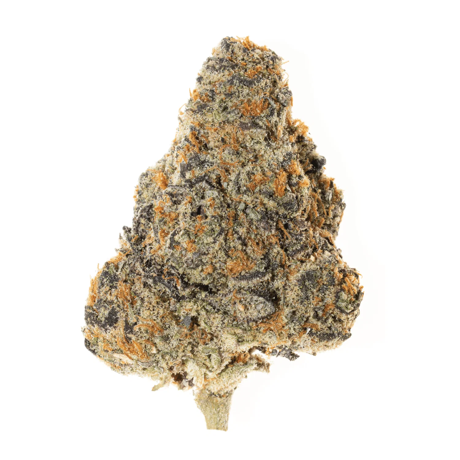 Gelonade Buds