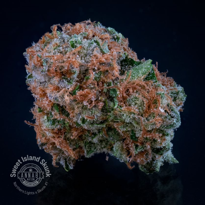 Flower | Sweet Island Skunk