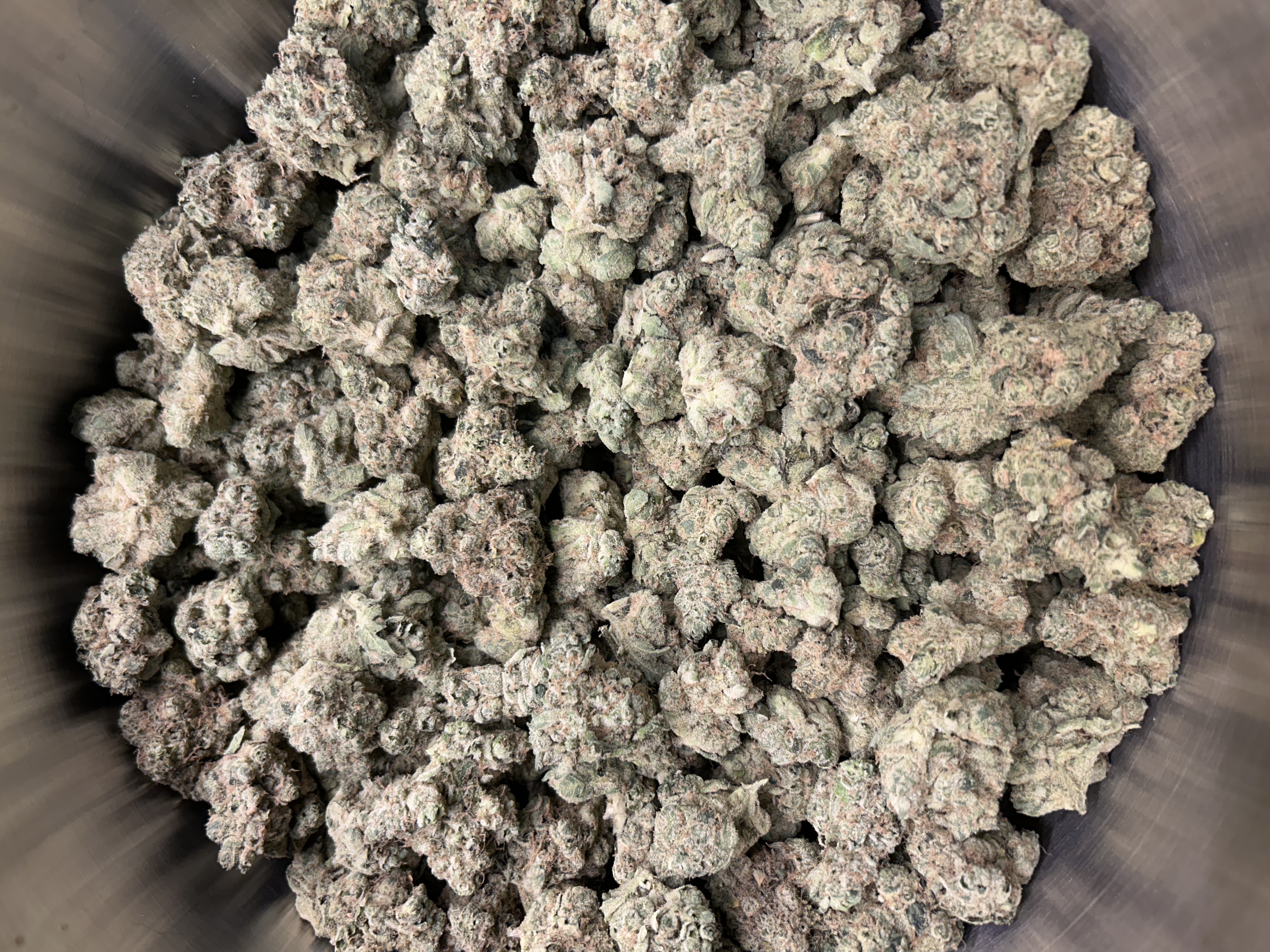 Berkshire Roots | Orange Chemeleon | Buds | 1.5% Terps (1g) product photo